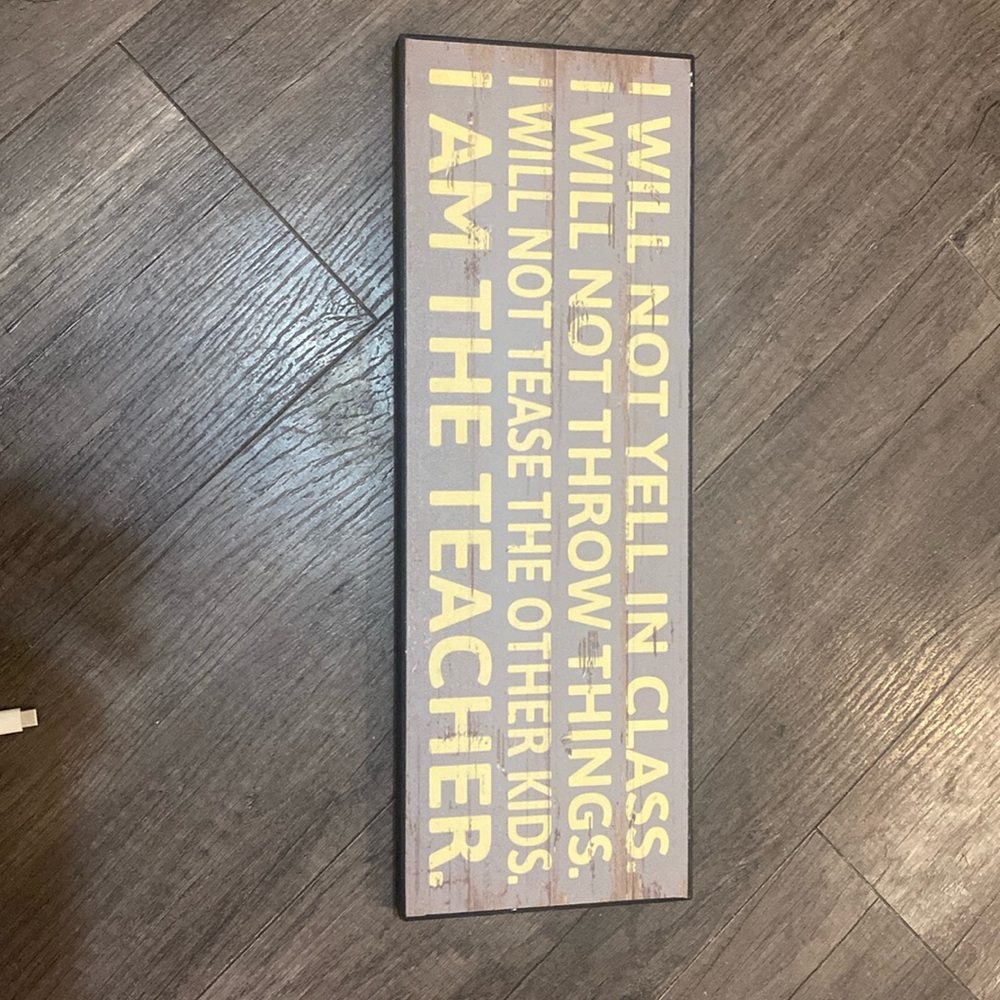 NWT Teacher humour Wooden Sign